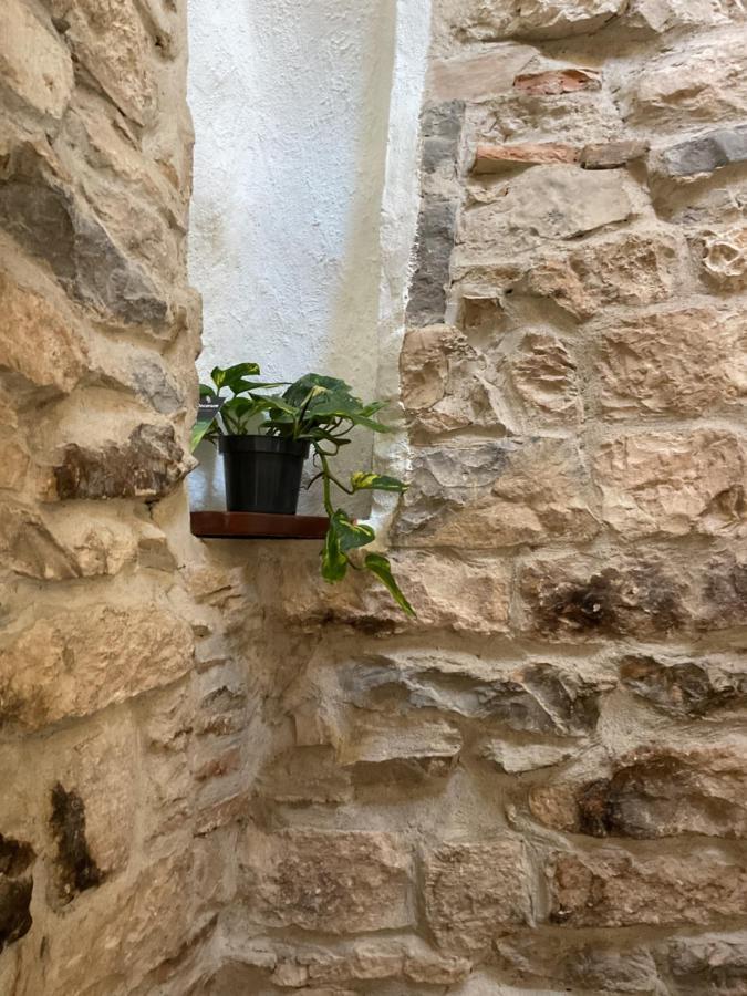 Ferienwohnung Place Aux Herbes Nîmes Exterior foto